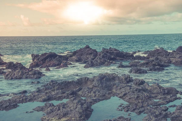 Felsen Auf Dem Felsigen Riffschelf Der Küste — Stockfoto