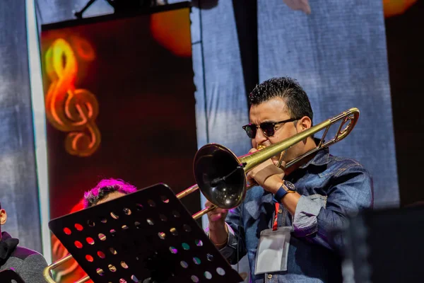 Jazz Parque Bogota Kolumbien 2015 — Stockfoto