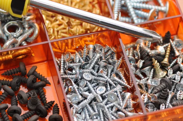 各种金属螺丝 在组织者的单元格中拆卸不同的螺钉 — 图库照片