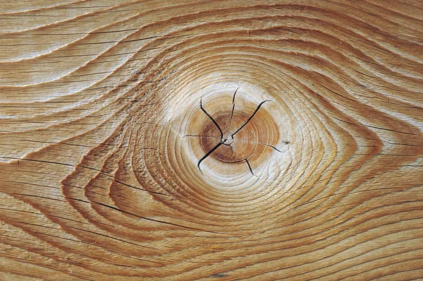 結び目で木の板 — ストック写真