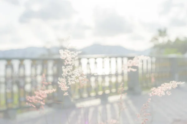 blurred image of glass flower. fence shadow mountain cloudy sky are background.