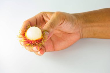 Elini tut rambutan, kırmızı tüylü deri meyve tatlı ve lezzetli, Tay ünlü tropikal meyve üzerinde arka plan beyaz