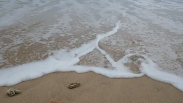美丽的沙滩与死的珊瑚和软波浪在海水中 多云阴雨天 — 图库视频影像