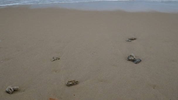 Bella Spiaggia Sabbia Con Corallo Morto Onde Morbide Acqua Mare — Video Stock