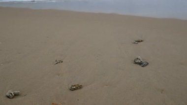 Güzel kumsalı deniz suyu, ölü mercan ve yumuşak dalga ile bulutlu yağmurlu gökyüzü gün