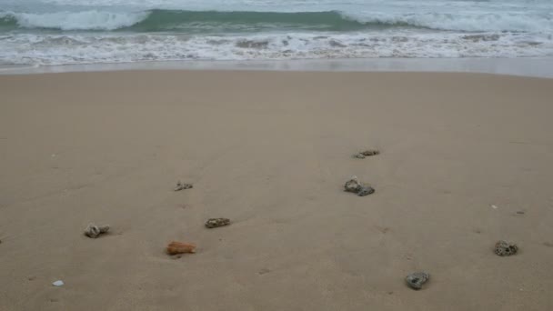 Pięknej Piaszczystej Plaży Martwych Koralowców Miękkie Fali Wodzie Morskiej Pochmurnego — Wideo stockowe