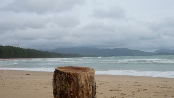 Corte Log Stand Praia Como Uma Mesa Para Colocar Algo — Vídeo de Stock