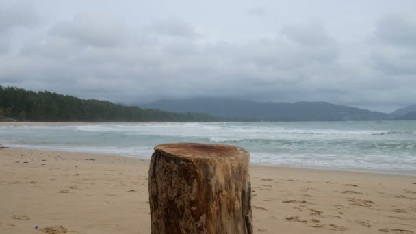 Corte Log Stand Praia Como Uma Mesa Para Colocar Algo — Vídeo de Stock