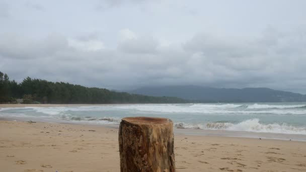 Corte Log Stand Praia Como Uma Mesa Para Colocar Algo — Vídeo de Stock