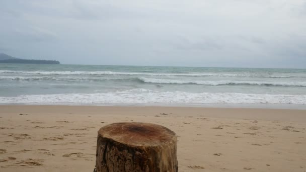 Cutting Log Stand Beach Table Put Something Background Beautiful Sand — Stock Video