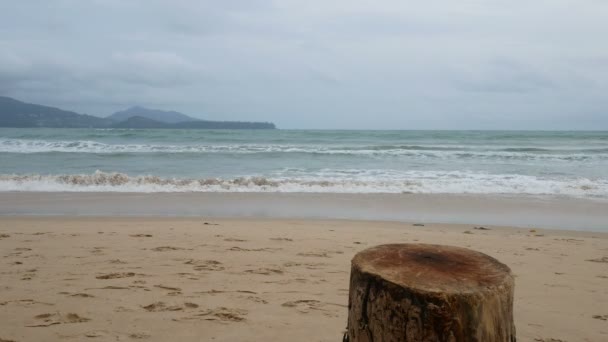 Schneiden Stamm Stehen Strand Wie Ein Tisch Für Etwas Auf — Stockvideo