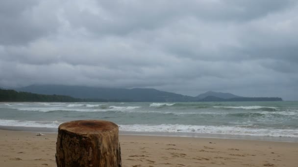 Corte Log Stand Praia Como Uma Mesa Para Colocar Algo — Vídeo de Stock