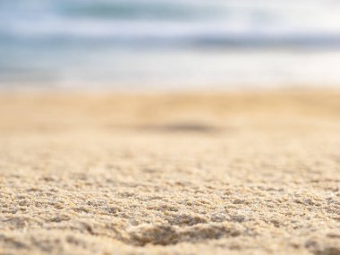 Kumsal dalgalarıyla kumu kapat.