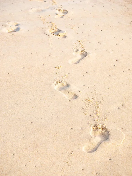 Gros Plan Empreinte Sur Sable Arrière Plan Plage — Photo