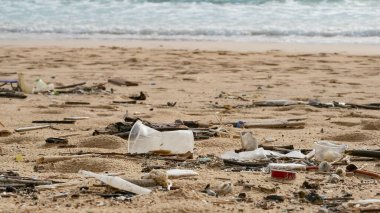 Çevre kirliliği. Ekolojik bir sorun. Garajlar, plastikler ve atıklar tropik denizin kumlu sahillerinde. 