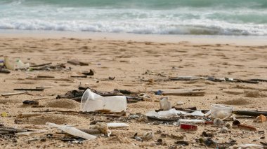 Çevre kirliliği. Ekolojik bir sorun. Garajlar, plastikler ve atıklar tropik denizin kumlu sahillerinde. 