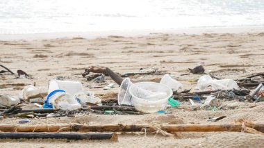 Çevre kirliliği. Ekolojik bir sorun. Garajlar, plastikler ve atıklar tropik denizin kumlu sahillerinde. 
