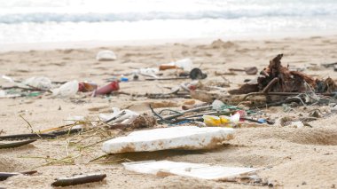 Çevre kirliliği. Ekolojik bir sorun. Garajlar, plastikler ve atıklar tropik denizin kumlu sahillerinde. 