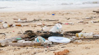 Çevre kirliliği. Ekolojik bir sorun. Garajlar, plastikler ve atıklar tropik denizin kumlu sahillerinde. 
