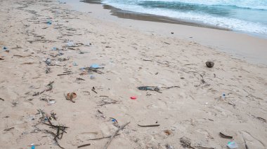 Çevre kirliliği. Ekolojik bir sorun. Garajlar, plastikler ve atıklar tropik denizin kumlu sahillerinde. 