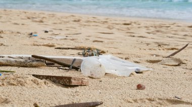 Çevre kirliliği. Ekolojik bir sorun. Garajlar, plastikler ve atıklar tropik denizin kumlu sahillerinde. 