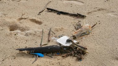 Çevre kirliliği. Ekolojik bir sorun. Garajlar, plastikler ve atıklar tropik denizin kumlu sahillerinde. 