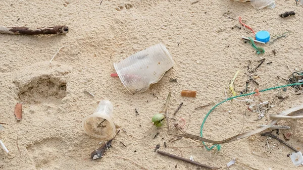 Environmental pollution. Ecological problem. Garbages, plastic, and wastes on the sandy beach of tropical sea.