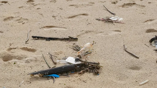 Çevre kirliliği. Ekolojik bir sorun. Garajlar, plastikler ve atıklar tropik denizin kumlu sahillerinde. 