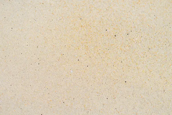 close up sand beach groud floor background for texture