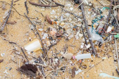 Çöp plastiği ve kumsaldaki kuru dal ağacı 