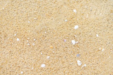 Kum plajı zemin zeminini dokusu için kapatın.