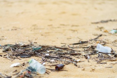 Çöp plastiği ve kumsaldaki kuru dal ağacı 
