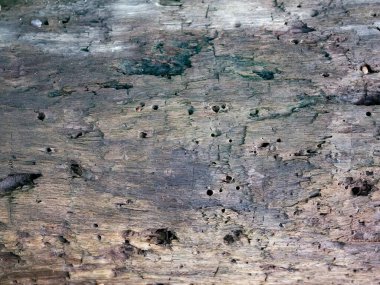 Eski ahşap yüzey, çatlaklı gözenekli arka plandır.