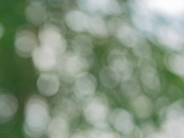 Bulanık bokeh ışığı arkaplandaki bulanıklığı gidermiş ve Noel, yeni yıl tatili partisi ve geçmiş kutlamaları için dokunmuş., 