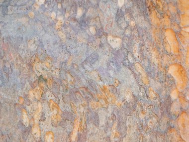 Doğal arkaplan ve doku için ağaç kabuğunun tam çerçevesi