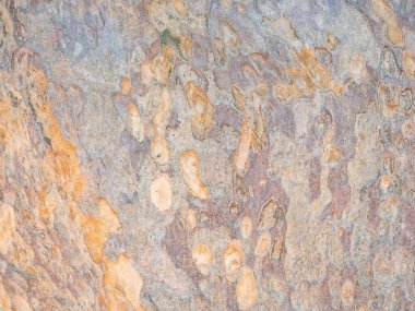 Doğal arkaplan ve doku için ağaç kabuğunun tam çerçevesi