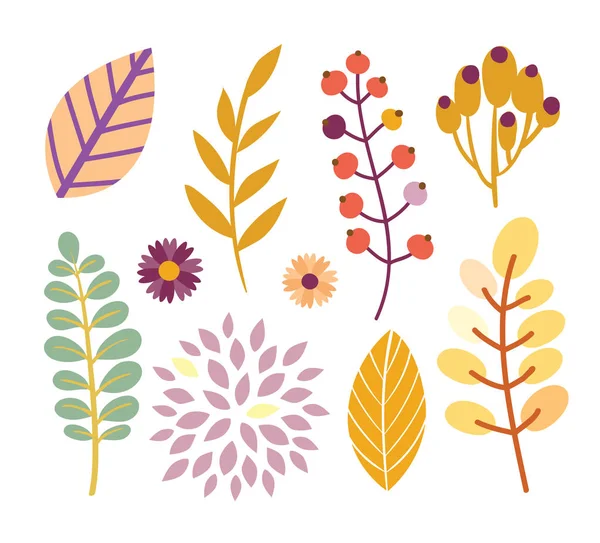 Autumn Decor Leaves Set — Stock Vector