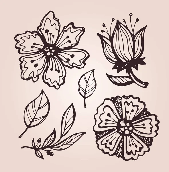 Outono Doodle Flores Folhas Conjunto Desenhado Mão —  Vetores de Stock