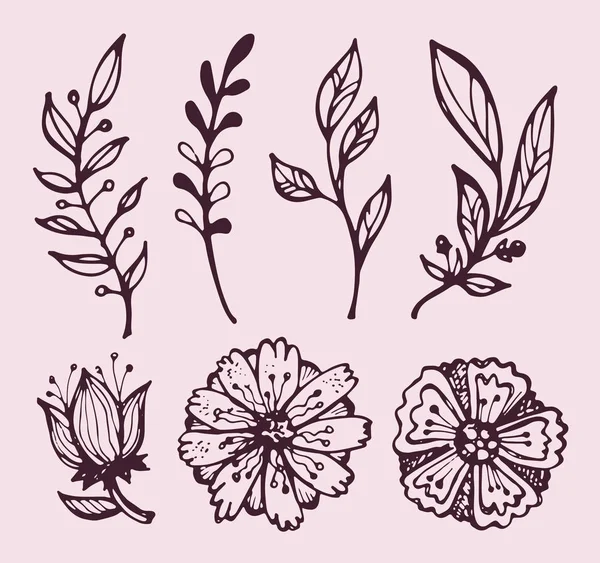 Outono Doodle Flores Folhas Conjunto Desenhado Mão —  Vetores de Stock