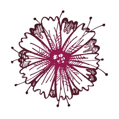 Elle çizilmiş doodle çiçek resim - çiçek ve yaprak