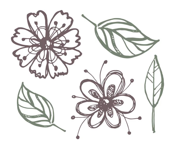 Doodle Desenhado Mão Arte Floral Flor Folha — Vetor de Stock
