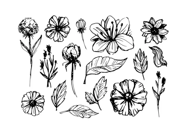 Abstracte Hand Getekend Bloem Template Set Blad Bloem Kunst Voor — Stockvector