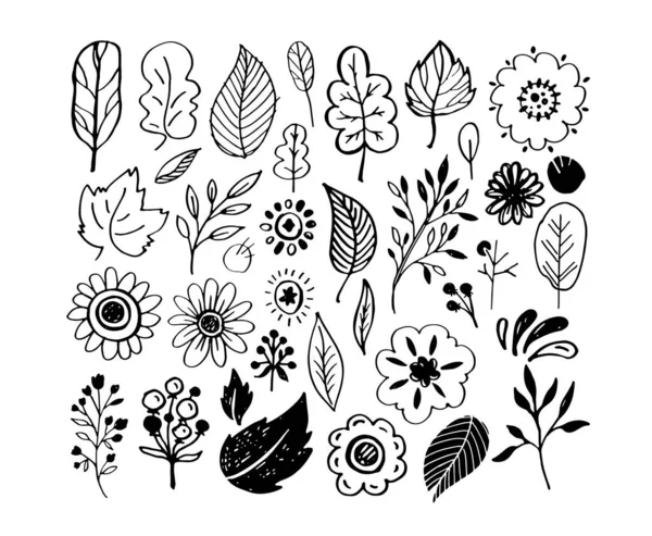 Herfst Schattige Hand Getekend Doodle Blad Bloem Set Abstracte Valsjabloon — Stockvector