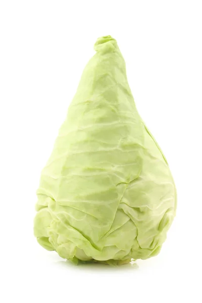 Een Vers Geoogste Groene Puntige Kool Een Witte Achtergrond — Stockfoto