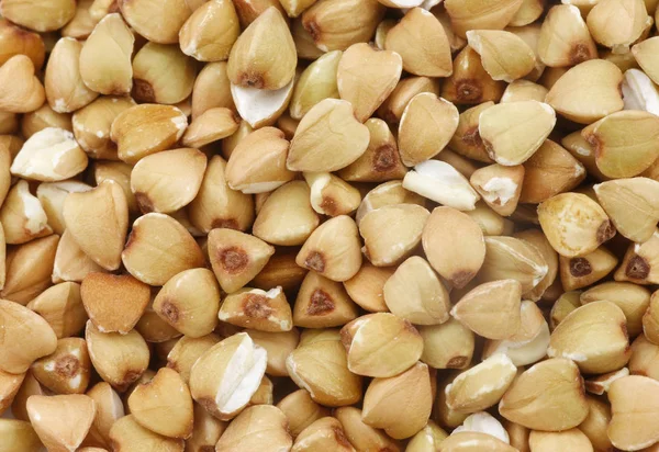 Background Biologically Grown Organic Buckwheat — Stock Photo, Image