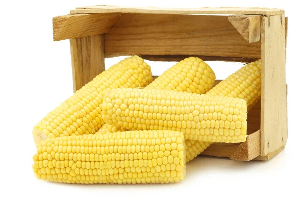 Corn Cob Wooden Crate White Background — Stock Photo, Image