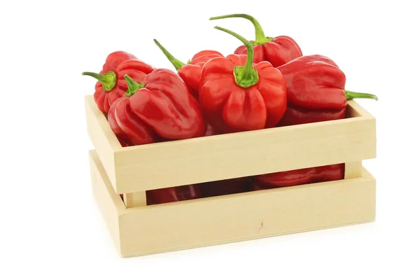 Kruidige Warme Rode Habanero Pepers Een Houten Doos Een Witte — Stockfoto