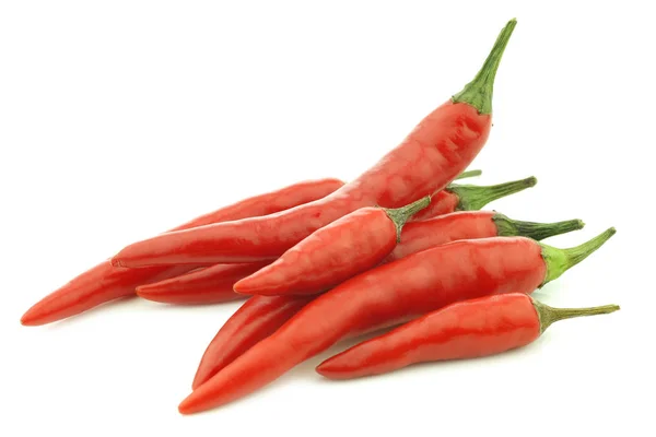 Röd Rawit Paprika Capsicum Annuum Bird Eye Vit Bakgrund — Stockfoto