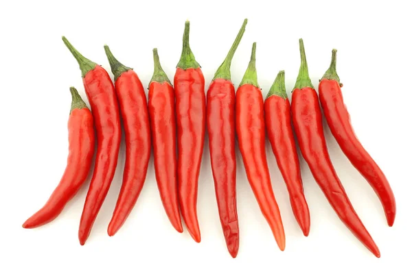 Red Rawit Peppers Capsicum Annuum Bird Eye Row White Background — Stock Photo, Image
