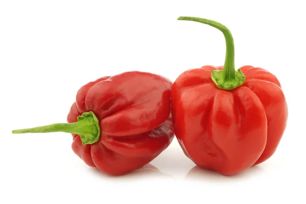 Kryddig Varm Röd Habanero Paprika Vit Bakgrund — Stockfoto